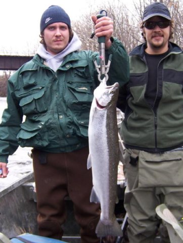 Steelhead fishing from the drift boat on Salmon River, Pulaski NY.